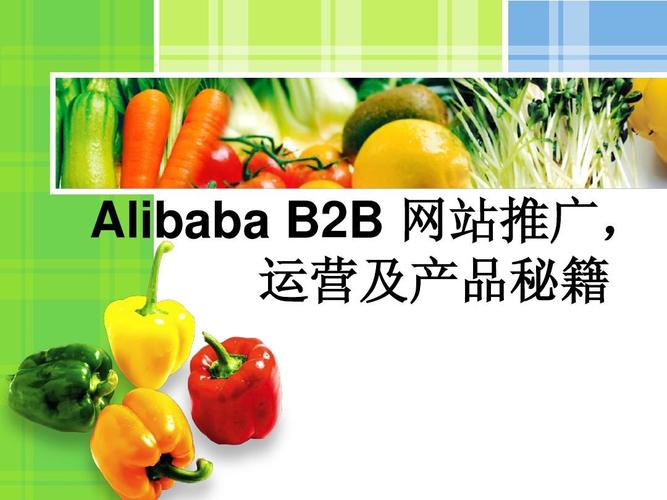 alibaba b2b 网站推广,运营及产品秘籍